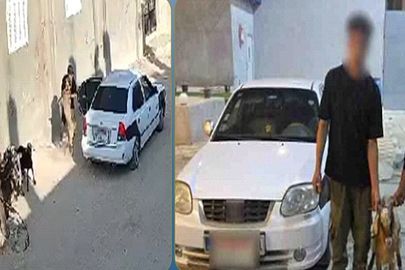 المتهمين بسرقة أغنام بالعريش