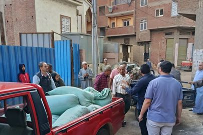 المنوفية 