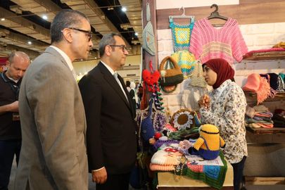 تنمية المشروعات 