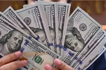 سعر الدولار
