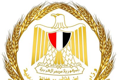 قمة مصر للتجزئة 2026