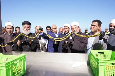 محافظ مطروح يطلق فعاليات مهرجان الزيتون الدولي 