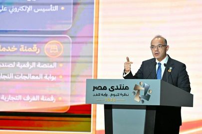 وزير الاستثمار 