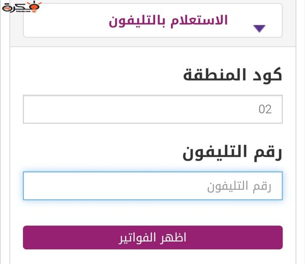 فاتورة التليفون الأرضي.. رابط الاستعلام وطرق السداد | أهل مصر