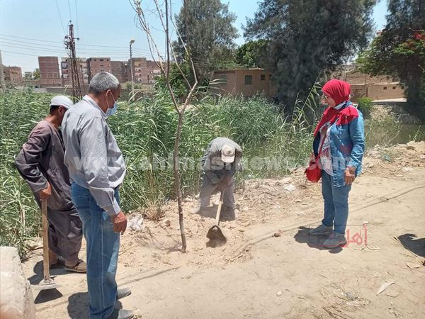 حملات تشجير وتوعية فى أسيوط