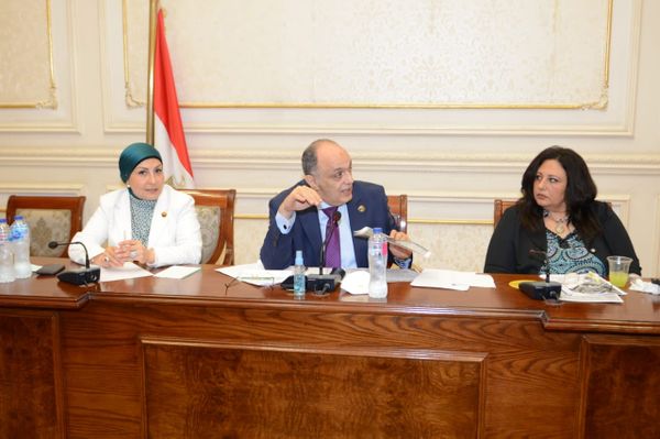 لجنة المشروعات