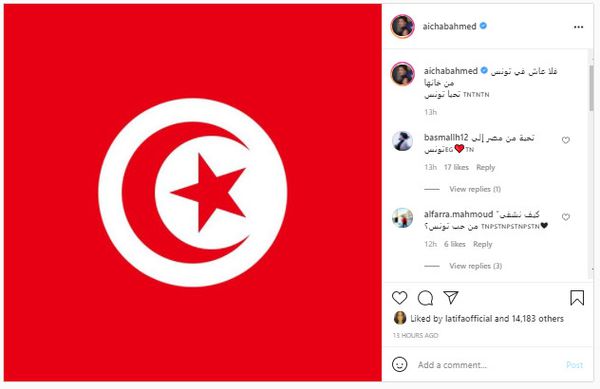 الفنانين التونسيين