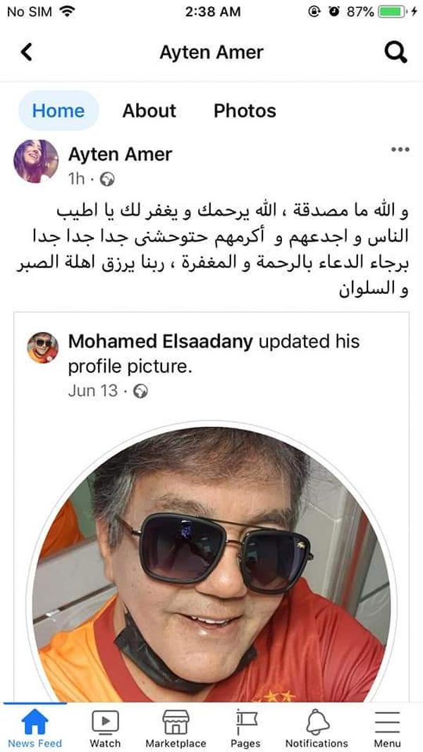 رجل الاعمال  محمد السعدني