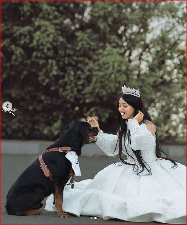 هبه مبروك تتزوج من كلب 