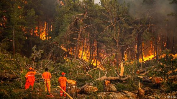 حرائق غابات اليونان