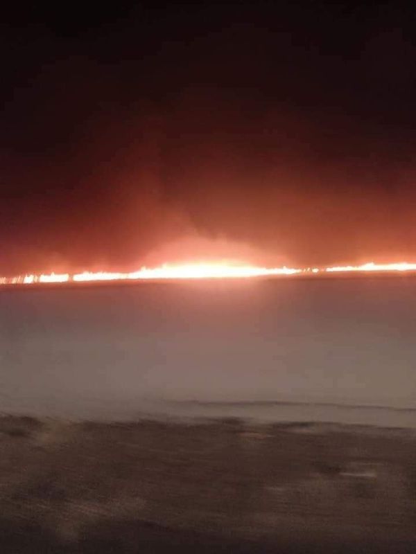 حريق هائل على الطريق الإقليمي بمدينة 15 مايو
