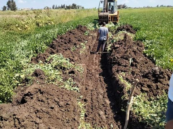  ٥٠ حالة إزالة ضمن حملة لإزالة التعديات علي أملاك الدولة والأرض الزراعيه بمدينة  الحامول