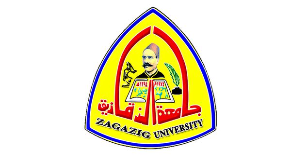 المدن الجامعية جامعة الزقازيق 