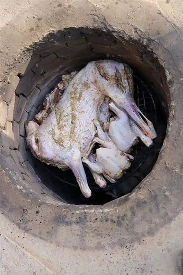ابو مردم طهي بالحرارة تحت الارض