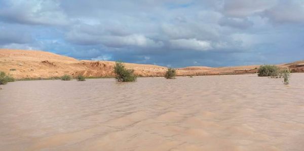 المزارع المطروحي يستعد لموسم الشتاء بالاستفادة من مياه الامطار 