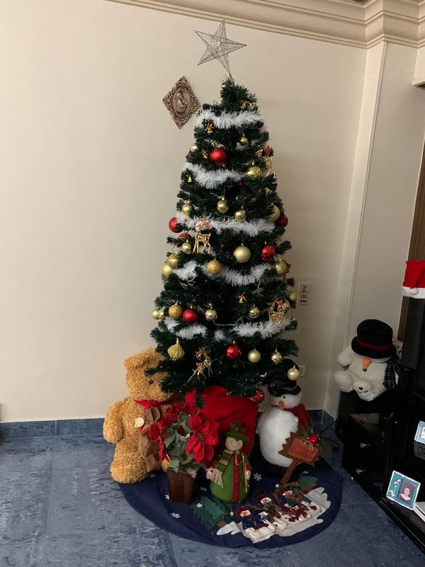 شجرة عيد الميلاد 