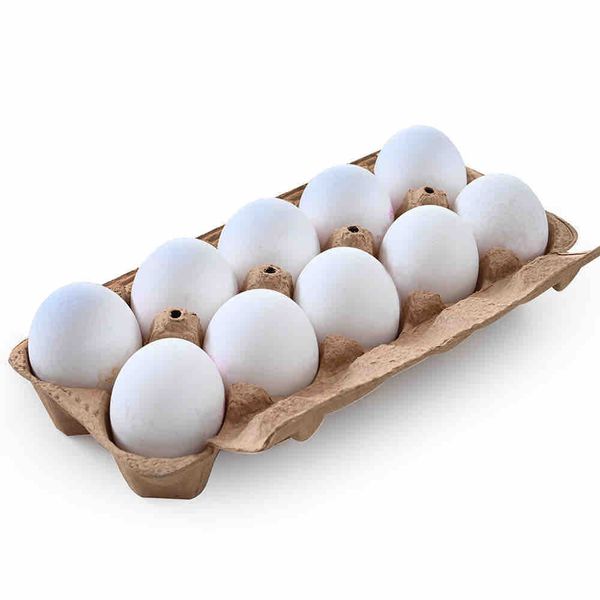 البيض الأورجانيك 
