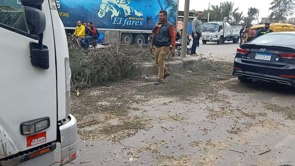 سقوط شجرة واصابة ٢٠شخص