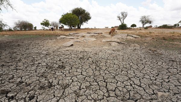 الجفاف في القرن الافريقي