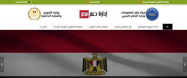 دعم مصر 