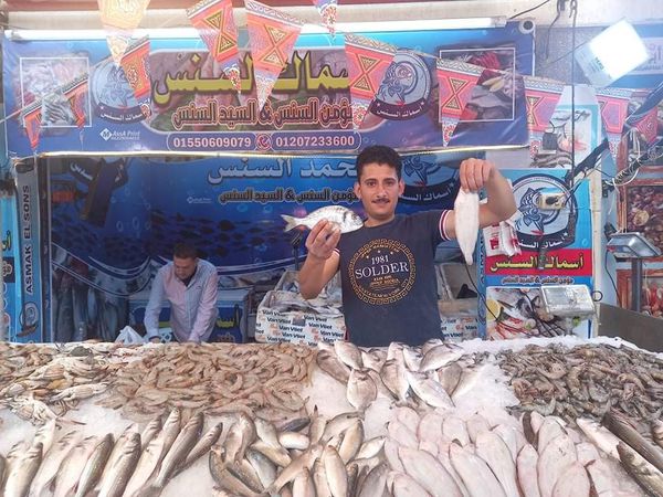 سوق الاسماك ببورسعيد