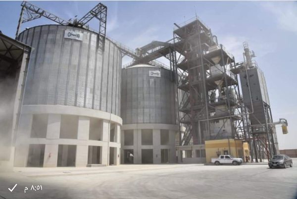 مطروح تورد ٤٤٤ طن من القمح لصومعة الشمامة بمدينة الحمام