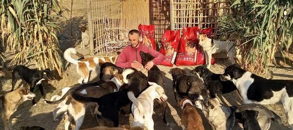 ملجأ للحيوانات الضالة في المغرب يديره مشردون 