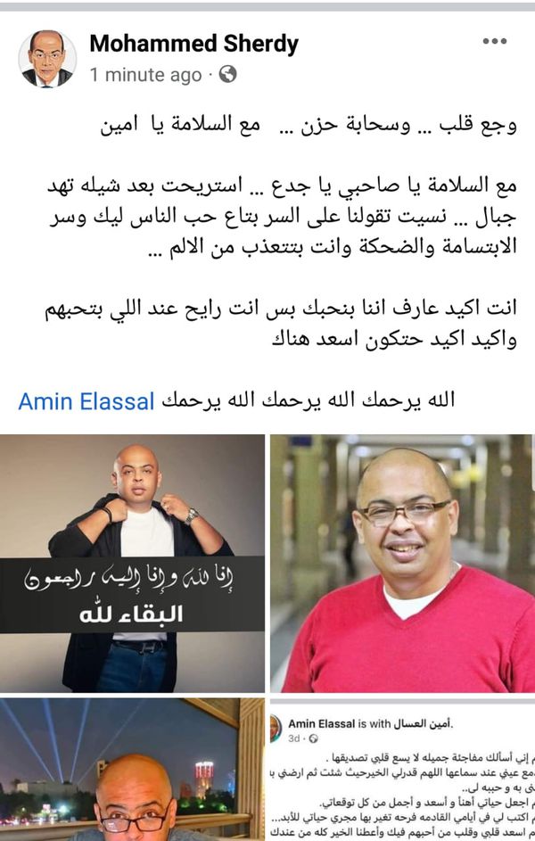 أمين العسال نجل الراحلة سهير طه حسين 