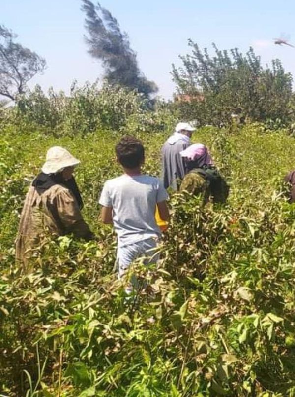 جانب من الندوات الإرشادية 