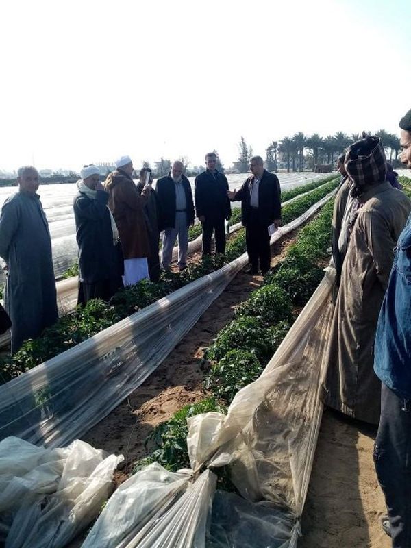 جانب من الندوات الإرشادية 