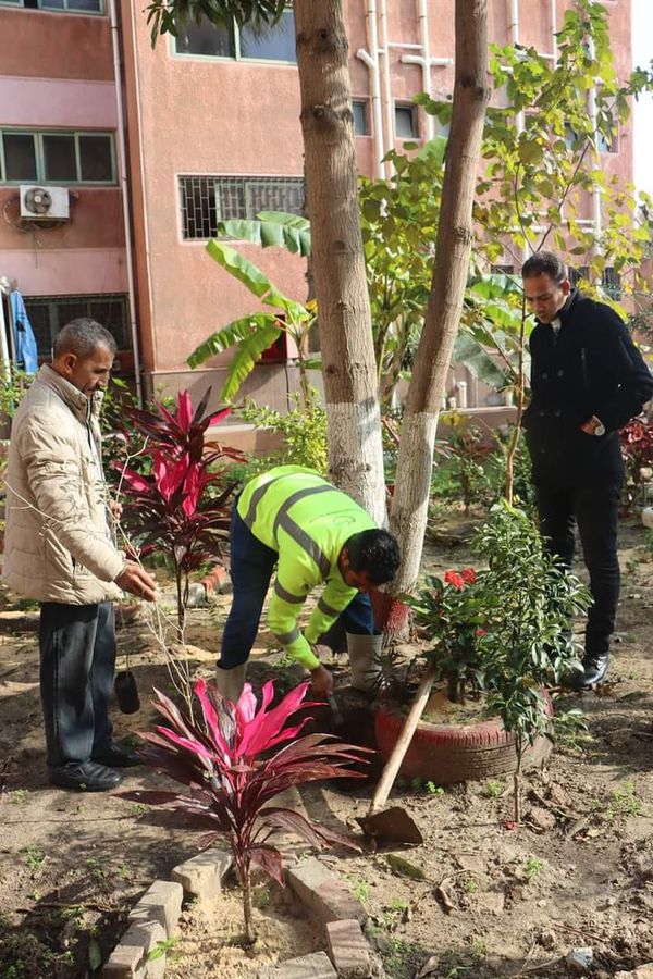 زرع ١٠٠ شجرة  صدقة بالمعهد العالى للخدمة الاجتماعية ببورسعيد 