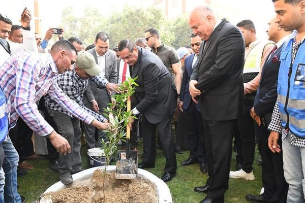 وزير التنمية المحلية ومحافظ قنا يغرسان شجرة بقرية خزام 