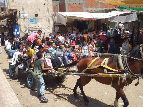 احتفالات الأطفال بعيد الفطر في قري كفر الشيخ