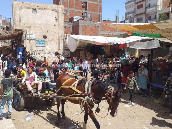 احتفالات الأطفال بعيد الفطر في قري كفر الشيخ