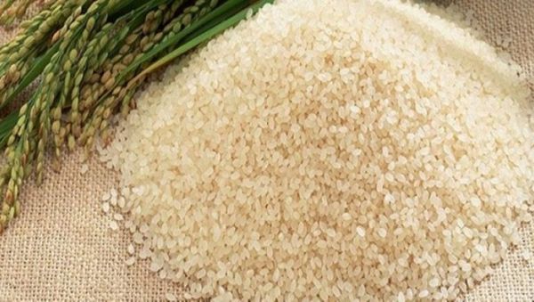 ارز الشعير