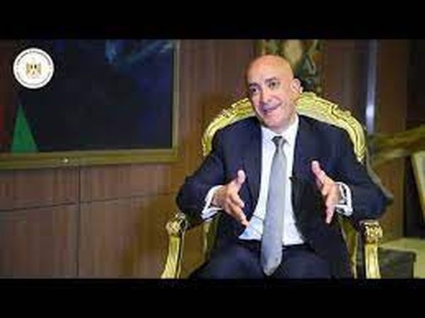 وائل حسن رجل الأعمال المصري