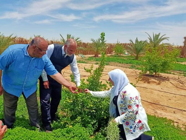 نائب محافظ مطروح تتفقد مشروعات سيوة البيئية الممثلة بمؤتمر المناخ cop 28 بالإمارات