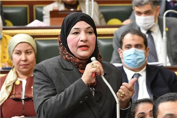 النائبة أميرة سعد الحداد عضو مجلس النواب