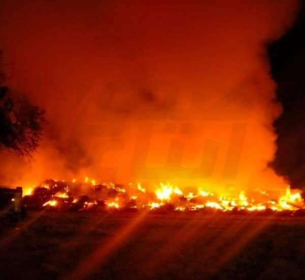 حريق مصنع فرز عنب في البحيرة 