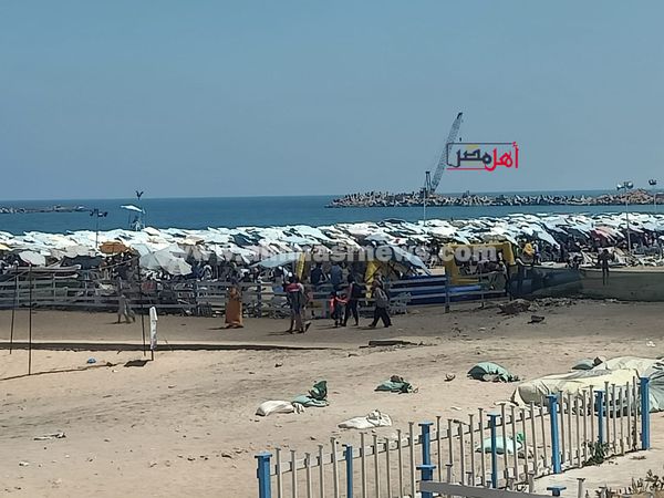 إقبال كبير على شواطئ الإسكندرية
