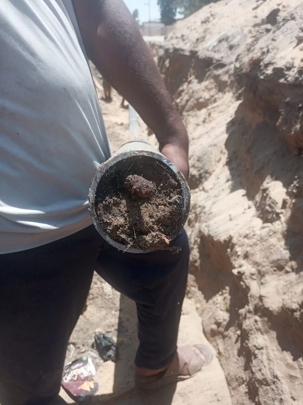 استخراج جذور الأشجار من شبكات قرية النصر