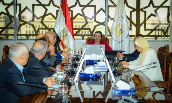 وزيرة البيئة تناقش آليات دعم تنفيذ مشروع انتاج الأخشاب ال MDF في مصر 