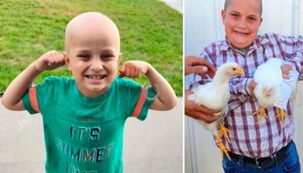 طفل يعرض دجاجاته للبيع في معرض لـ علاج شقيقة من السرطان