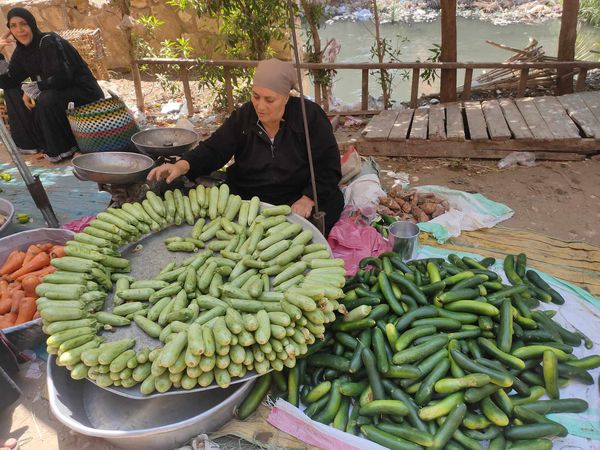 اسعار الخضروات والفاكهة بأسواق الفيوم 