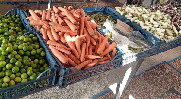 اسعار الخضروات والفواكه بأسواق الفيوم 