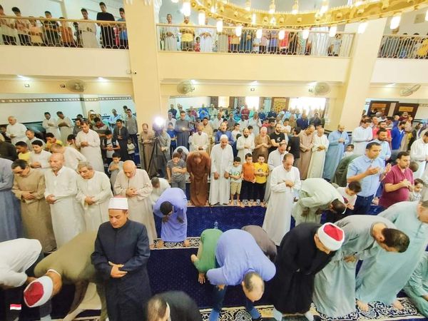 افتتاح مسجد بشبين القناطر