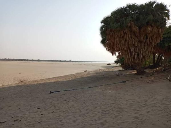 الجفاف في السودان 