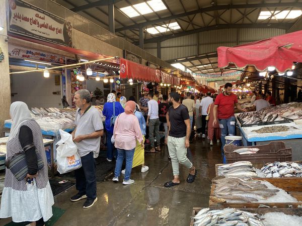 ازدحام كبير على سوق الأسماك ببورسعيد 
