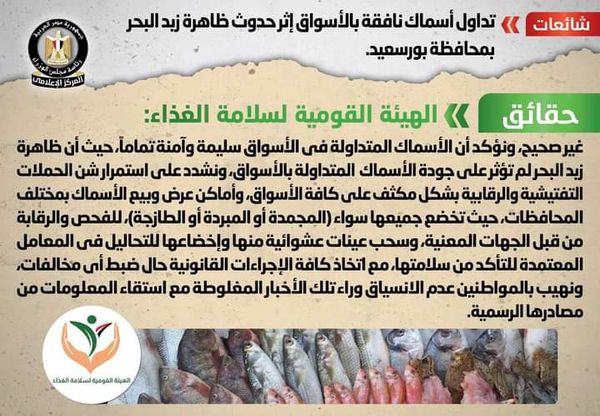 الحكومة توفى نفوق أسماك على شاطىء بورسعيد