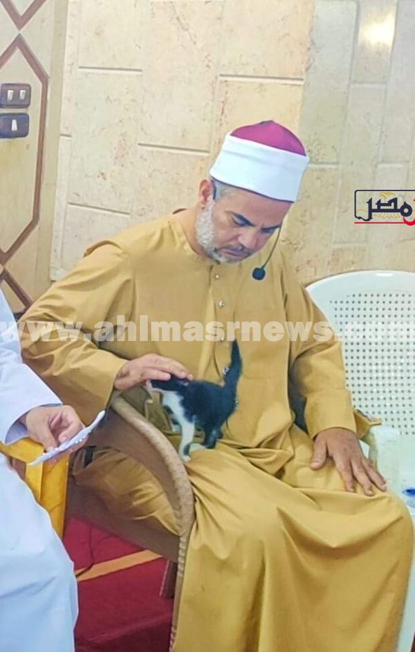 قطة تُداعب إمام مسجد بالمنوفية